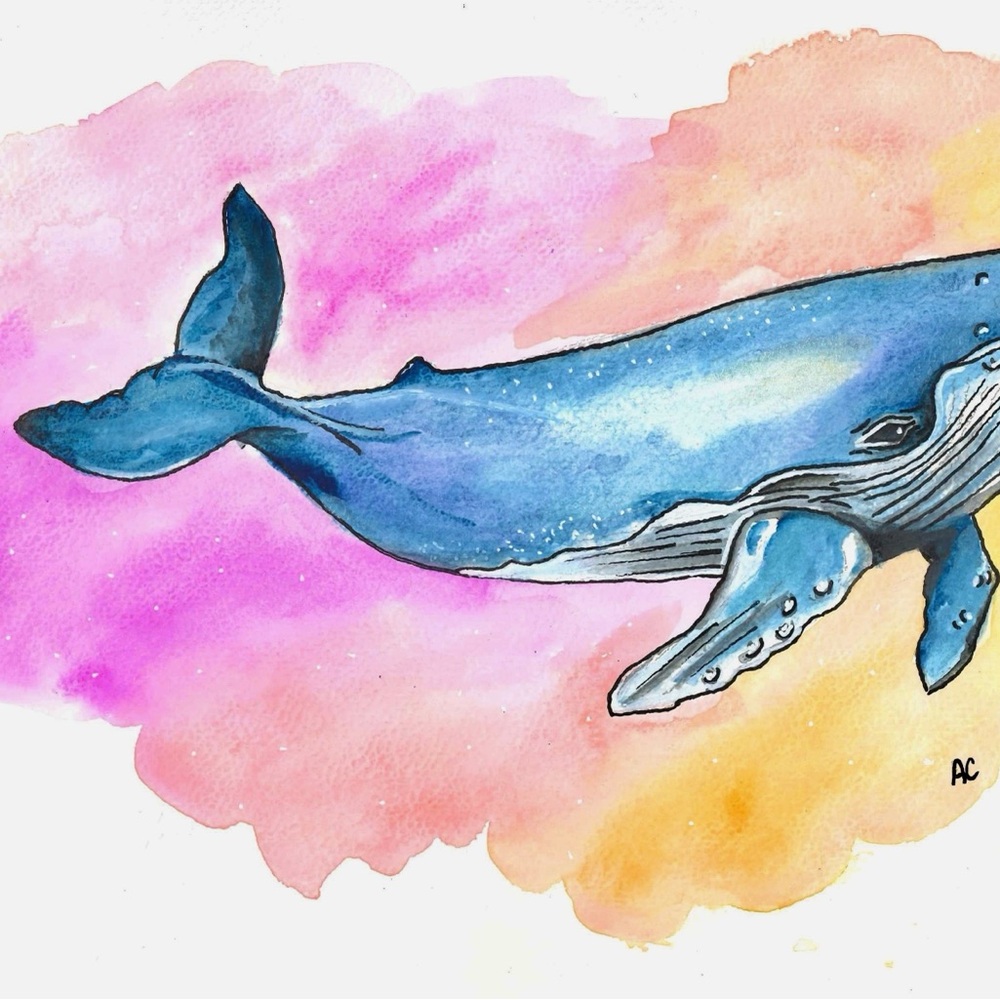 Whale Watercolor Art Print - Picture 3 of 3